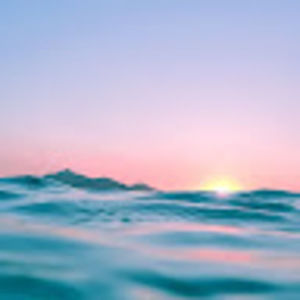 Meet your Posher, Liliana